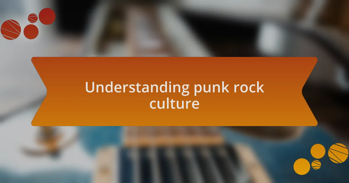 Understanding punk rock culture